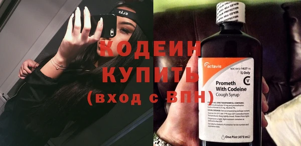 дживик Богородицк