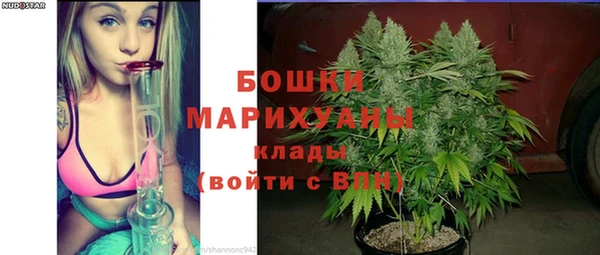 дживик Богородицк