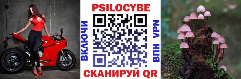 darknet наркотические препараты  Нижний Тагил  Галлюциногенные грибы ЛСД  MEGA ONION 