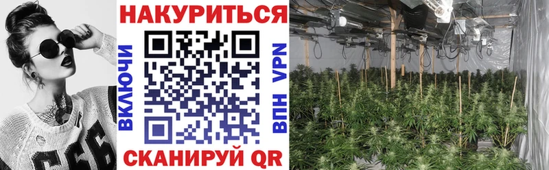 Марихуана планчик  Нижний Тагил 